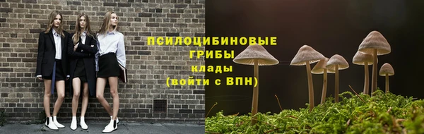 мдпв Кукмор