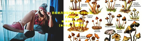 гашик Куйбышев