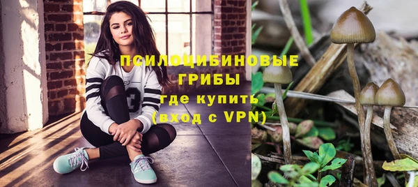 гашик Куйбышев